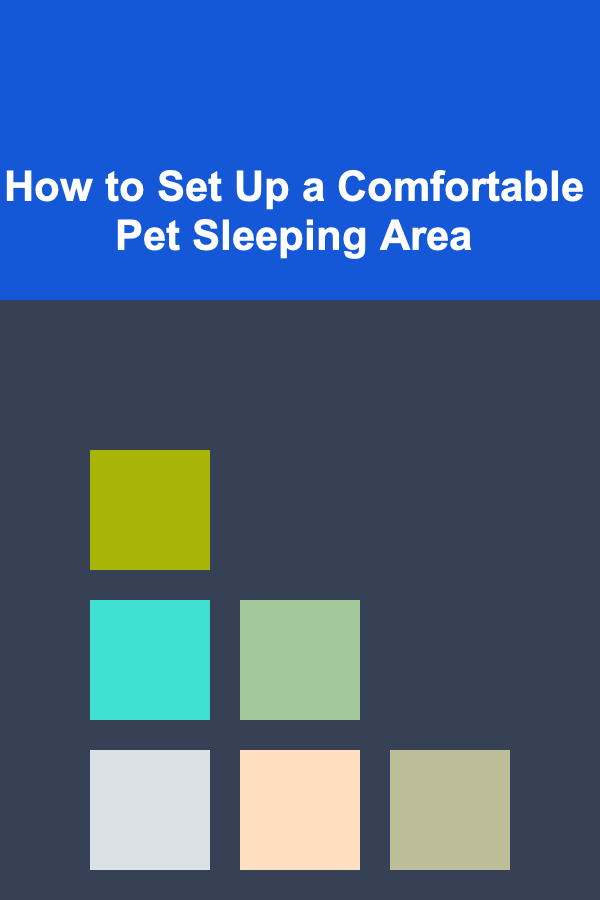 How to Set Up a Comfortable Pet Sleeping Area