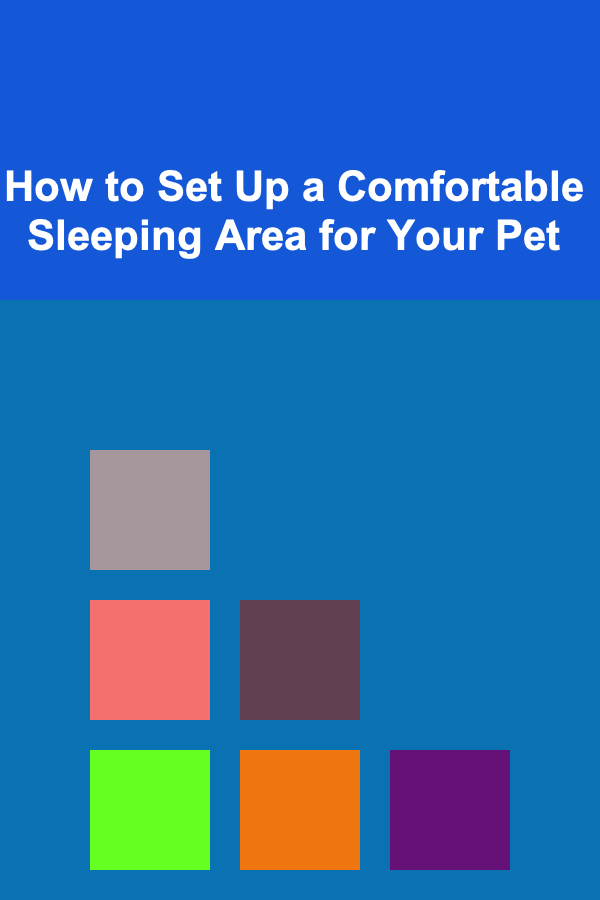 How to Set Up a Comfortable Sleeping Area for Your Pet