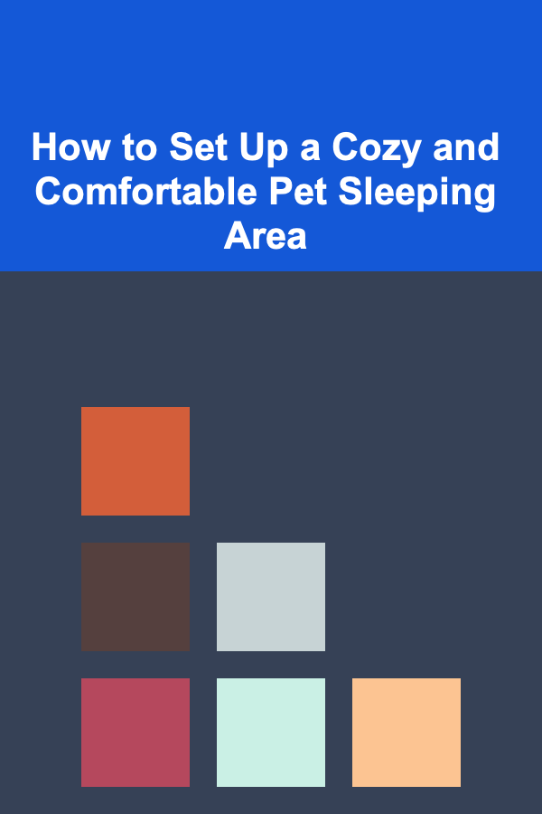 How to Set Up a Cozy and Comfortable Pet Sleeping Area