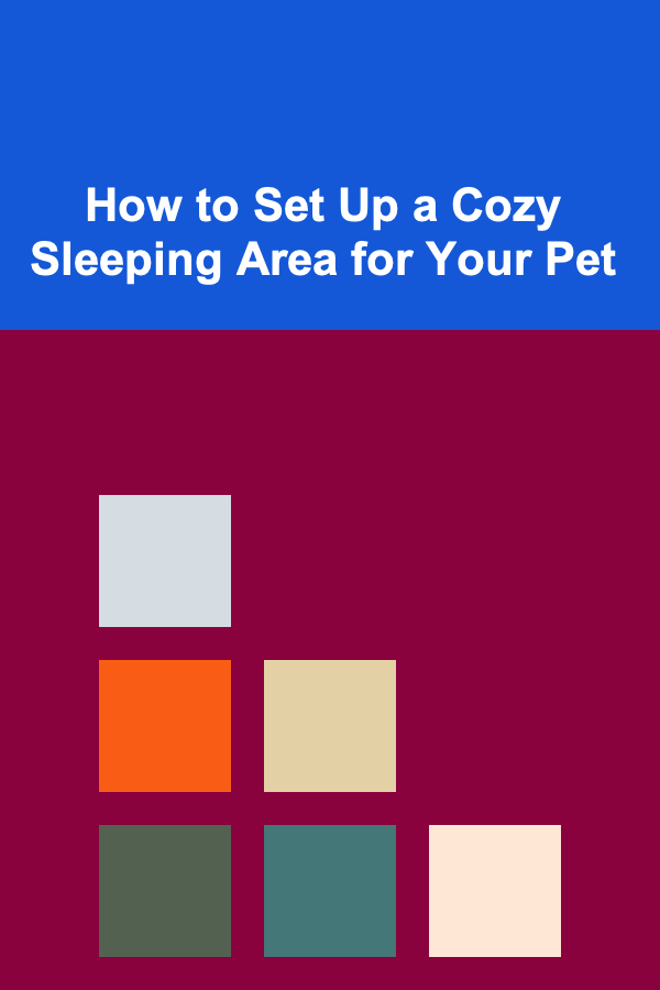 How to Set Up a Cozy Sleeping Area for Your Pet