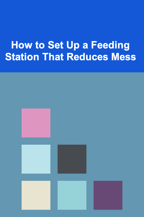 How to Set Up a Feeding Station That Reduces Mess
