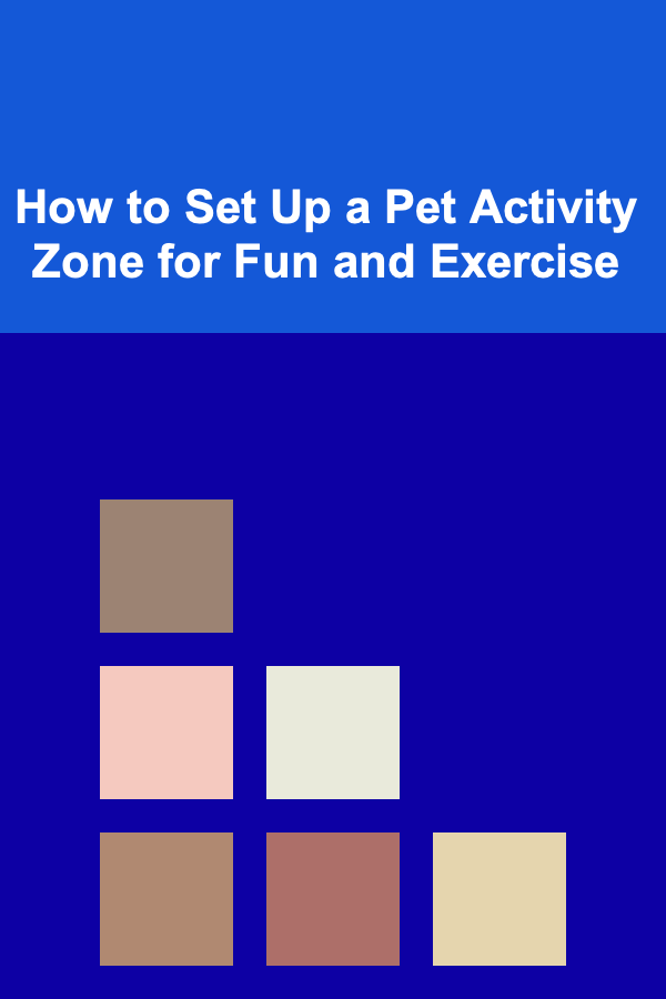 How to Set Up a Pet Activity Zone for Fun and Exercise