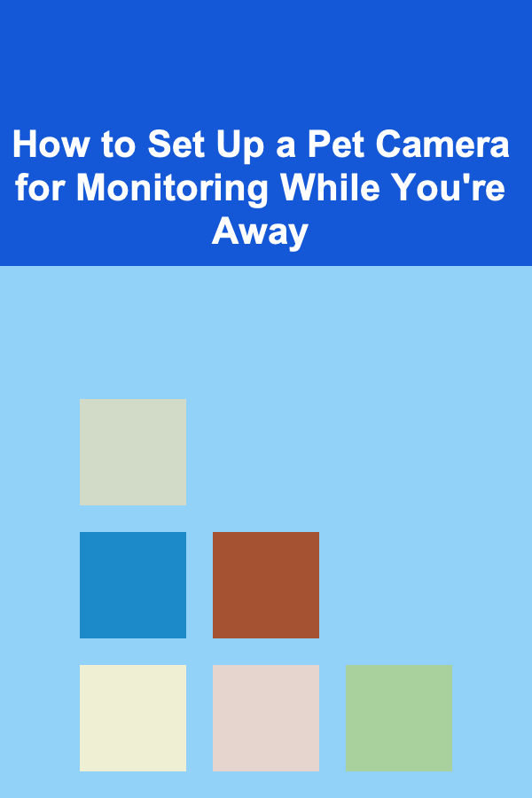 How to Set Up a Pet Camera for Monitoring While You're Away