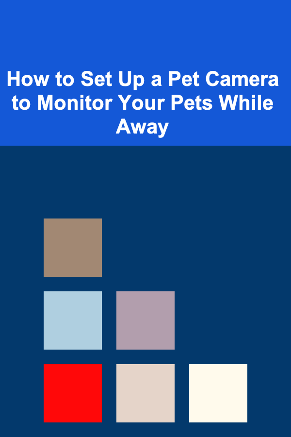How to Set Up a Pet Camera to Monitor Your Pets While Away