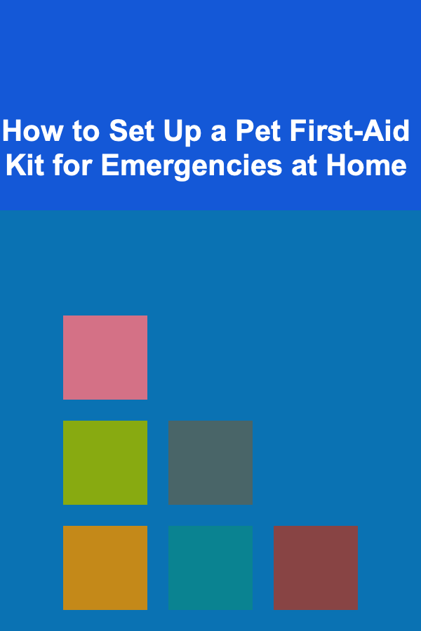 How to Set Up a Pet First-Aid Kit for Emergencies at Home