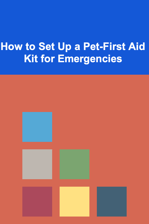 How to Set Up a Pet-First Aid Kit for Emergencies
