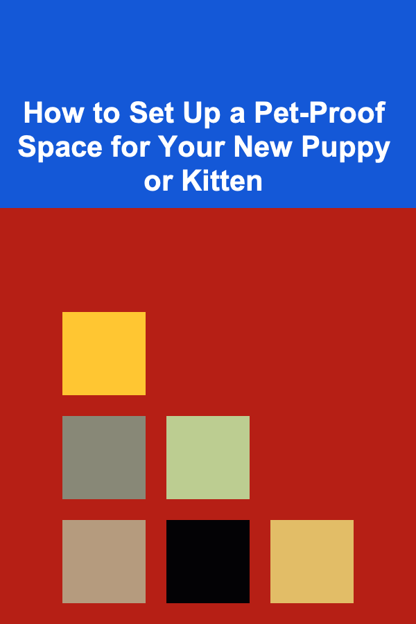 How to Set Up a Pet-Proof Space for Your New Puppy or Kitten