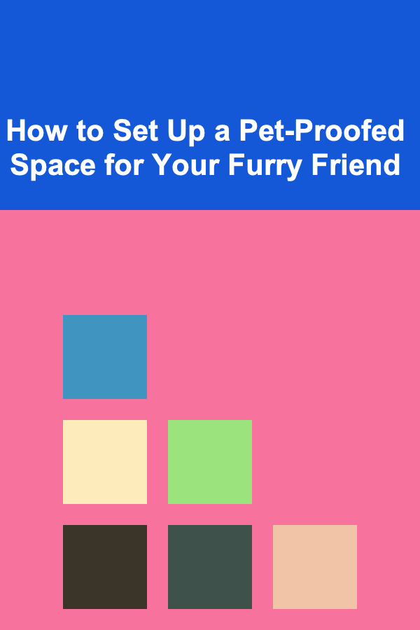 How to Set Up a Pet-Proofed Space for Your Furry Friend
