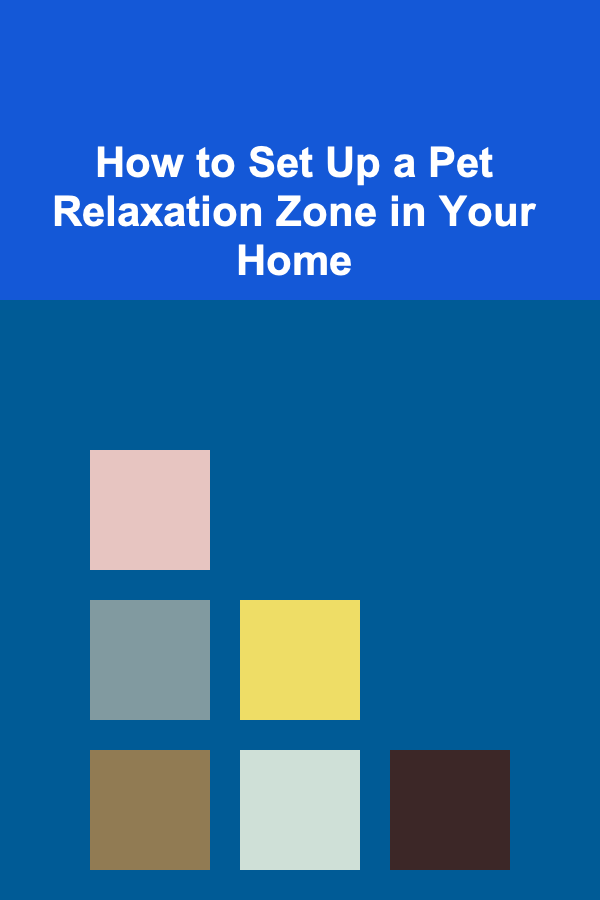 How to Set Up a Pet Relaxation Zone in Your Home
