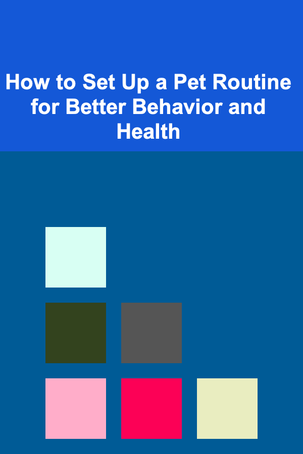 How to Set Up a Pet Routine for Better Behavior and Health