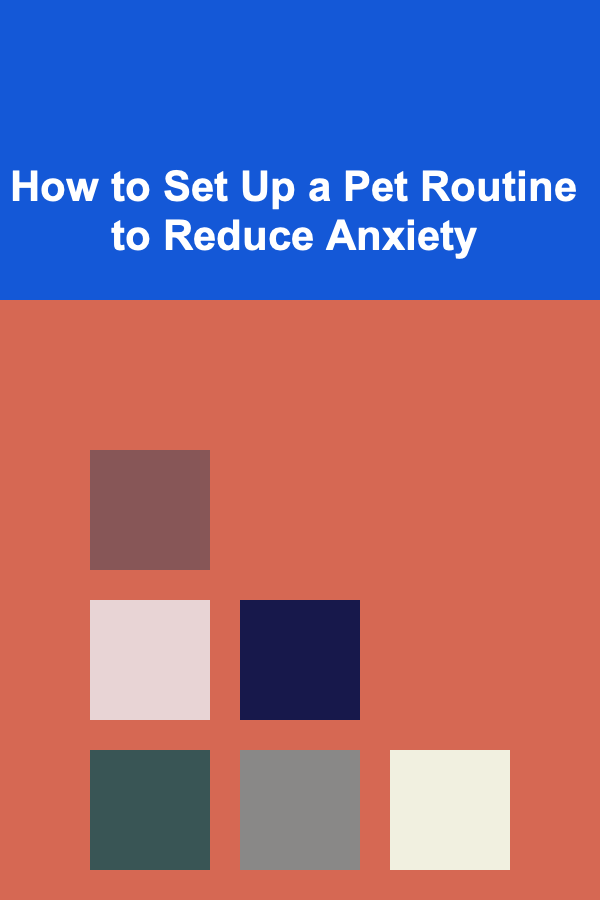 How to Set Up a Pet Routine to Reduce Anxiety
