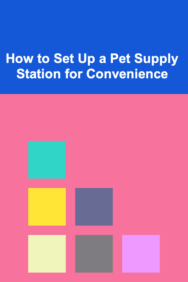How to Set Up a Pet Supply Station for Convenience