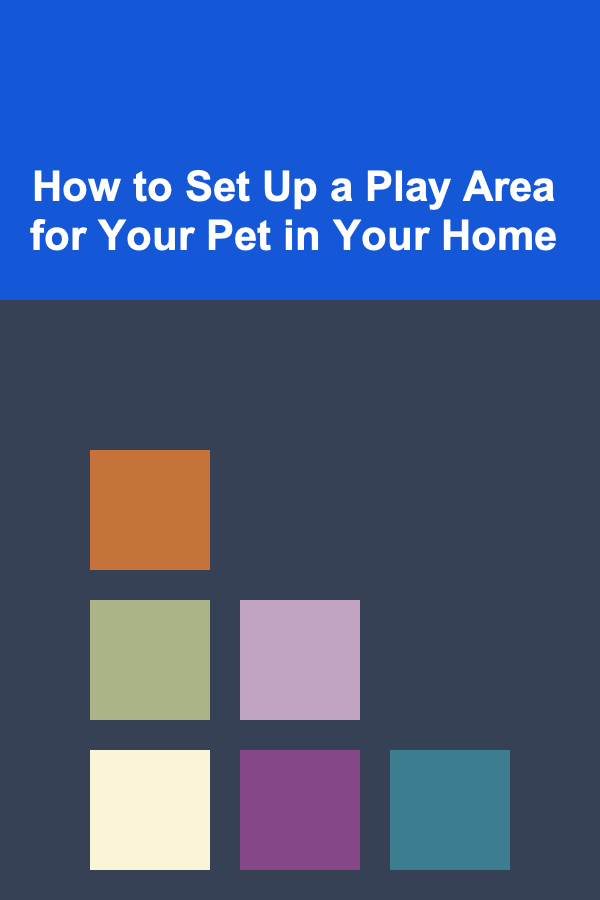 How to Set Up a Play Area for Your Pet in Your Home