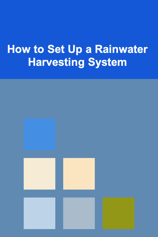 How to Set Up a Rainwater Harvesting System