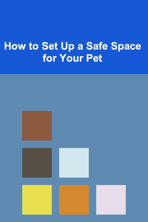 How to Set Up a Safe Space for Your Pet
