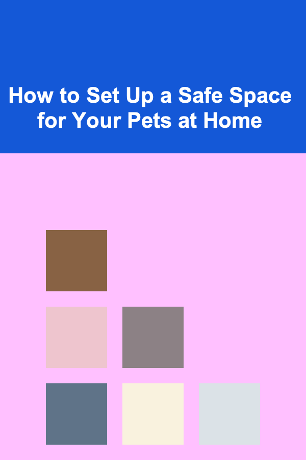 How to Set Up a Safe Space for Your Pets at Home