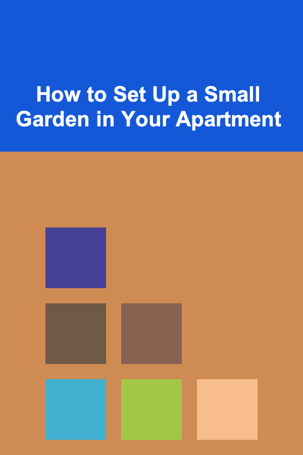 How to Set Up a Small Garden in Your Apartment