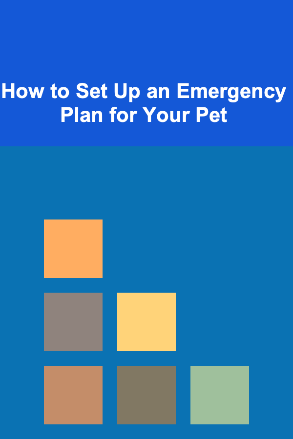 How to Set Up an Emergency Plan for Your Pet