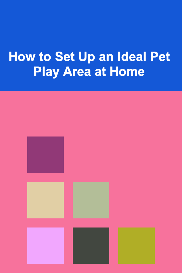 How to Set Up an Ideal Pet Play Area at Home