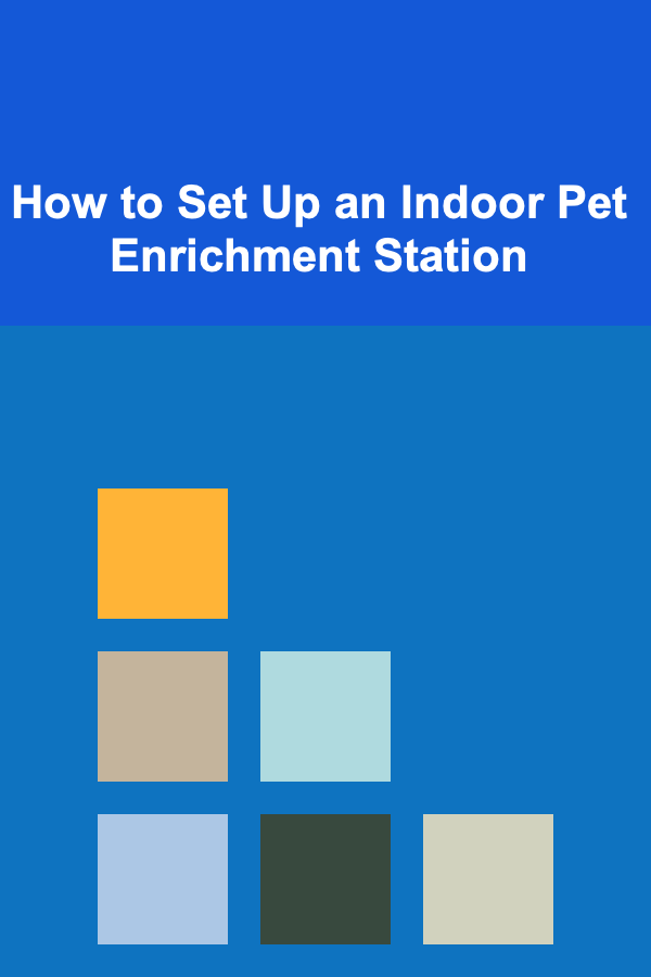 How to Set Up an Indoor Pet Enrichment Station