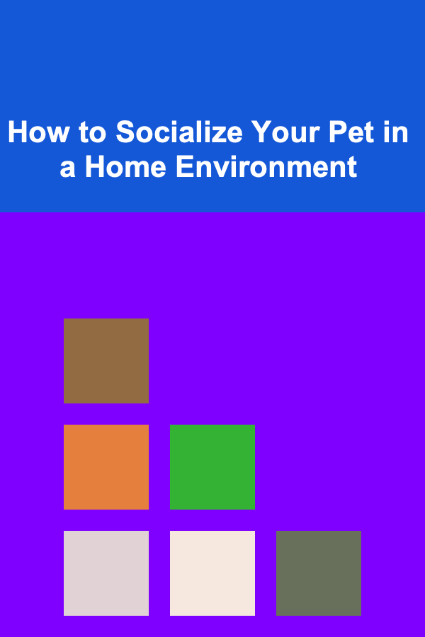 How to Socialize Your Pet in a Home Environment