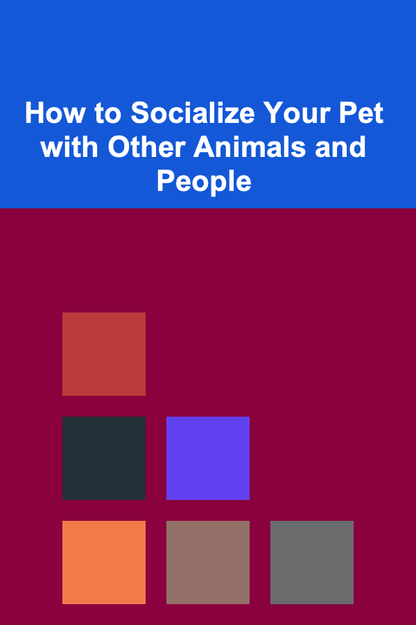 How to Socialize Your Pet with Other Animals and People