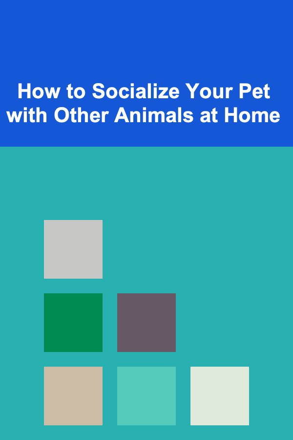 How to Socialize Your Pet with Other Animals at Home