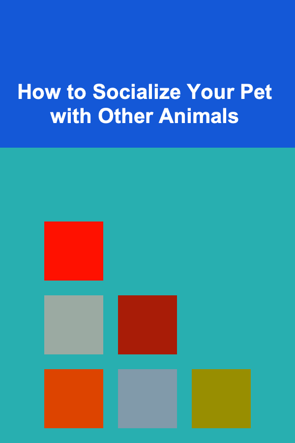 How to Socialize Your Pet with Other Animals