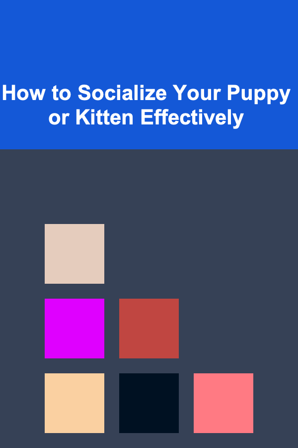 How to Socialize Your Puppy or Kitten Effectively