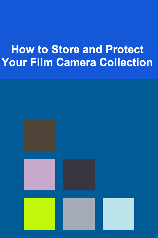 How to Store and Protect Your Film Camera Collection