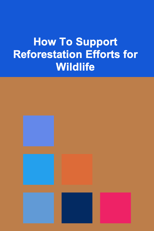 How To Support Reforestation Efforts for Wildlife