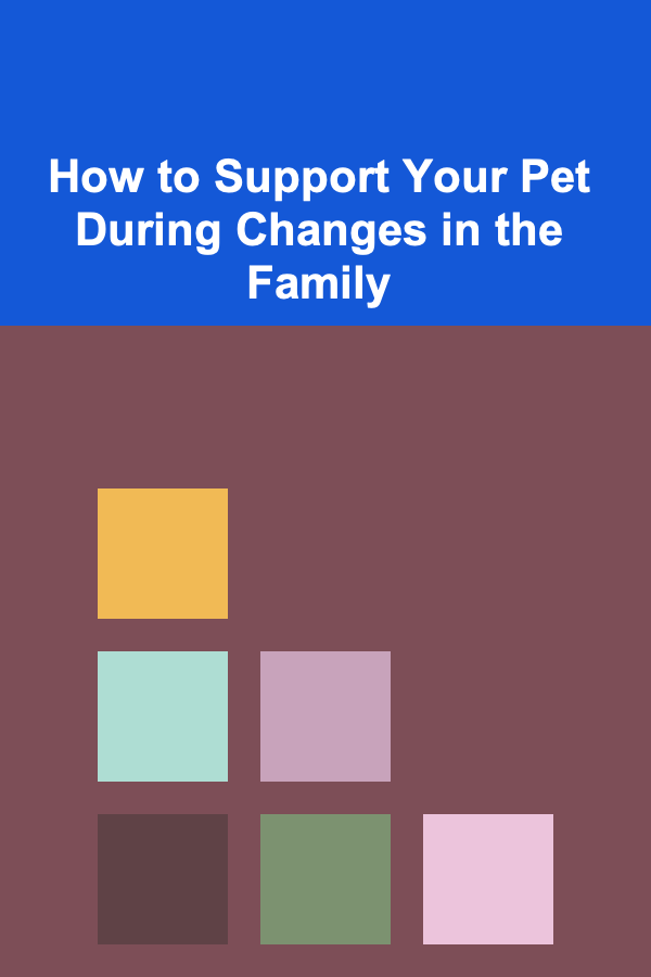 How to Support Your Pet During Changes in the Family