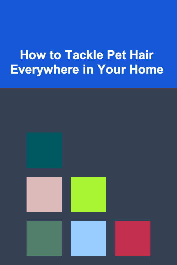 How to Tackle Pet Hair Everywhere in Your Home