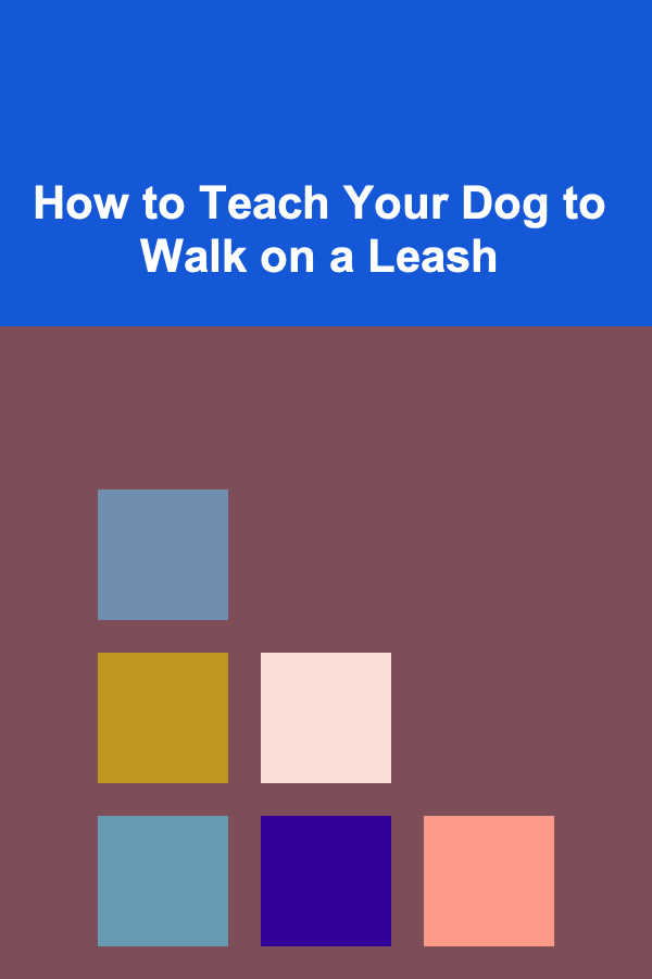 How to Teach Your Dog to Walk on a Leash