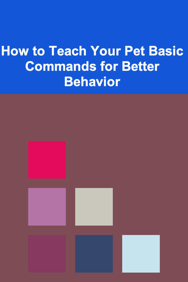 How to Teach Your Pet Basic Commands for Better Behavior