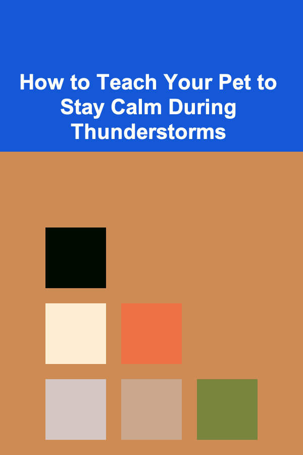 How to Teach Your Pet to Stay Calm During Thunderstorms