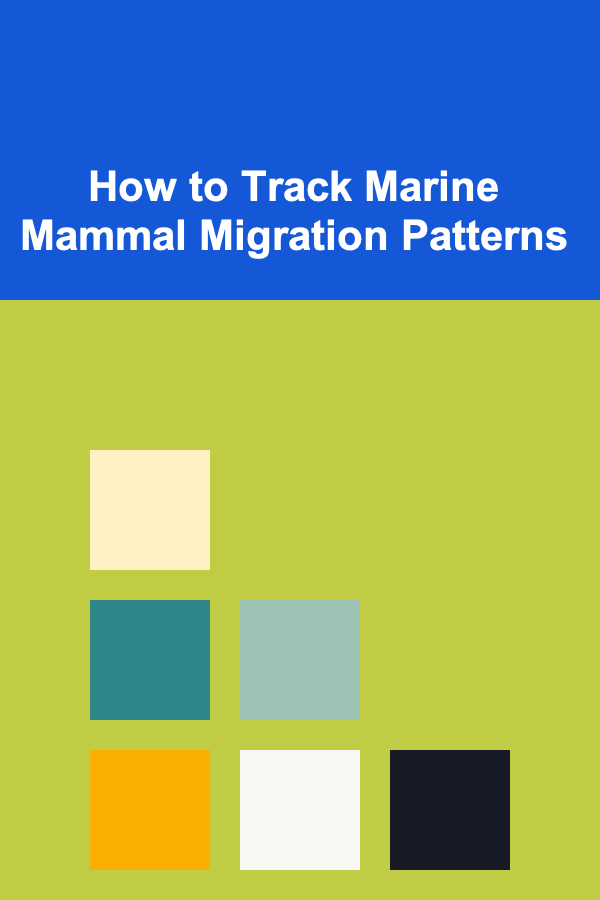 How to Track Marine Mammal Migration Patterns
