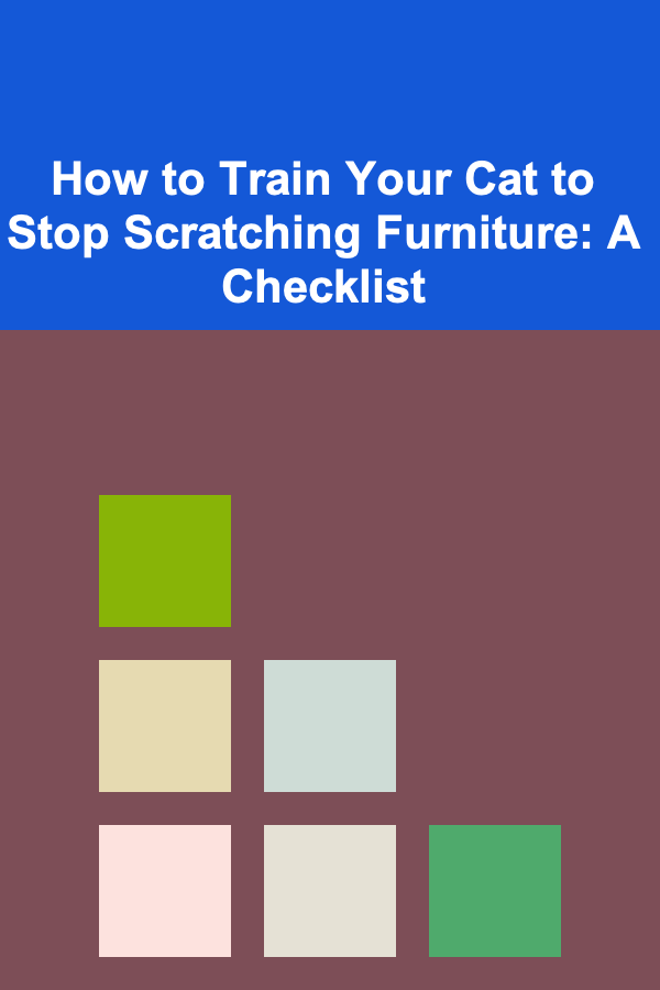 How to Train Your Cat to Stop Scratching Furniture: A Checklist