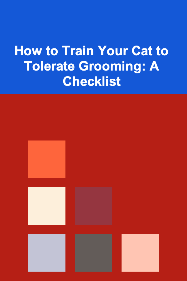 How to Train Your Cat to Tolerate Grooming: A Checklist