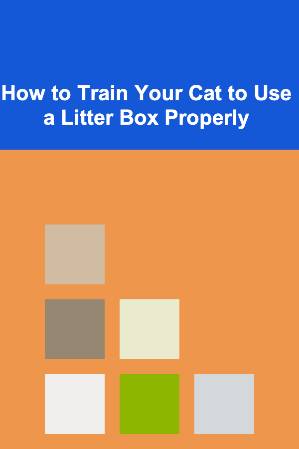 How to Train Your Cat to Use a Litter Box Properly