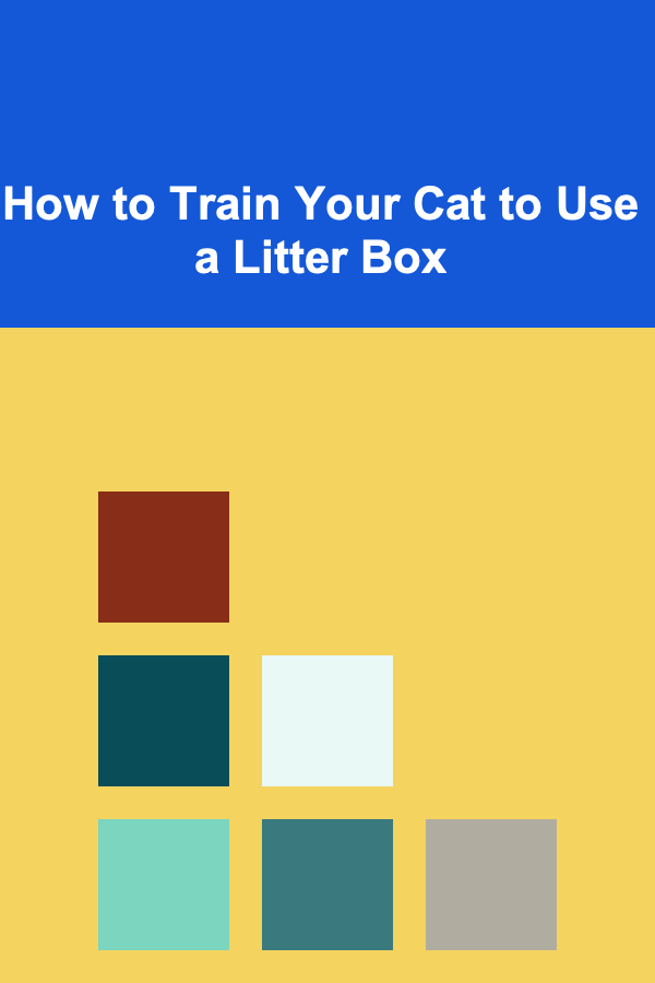 How to Train Your Cat to Use a Litter Box