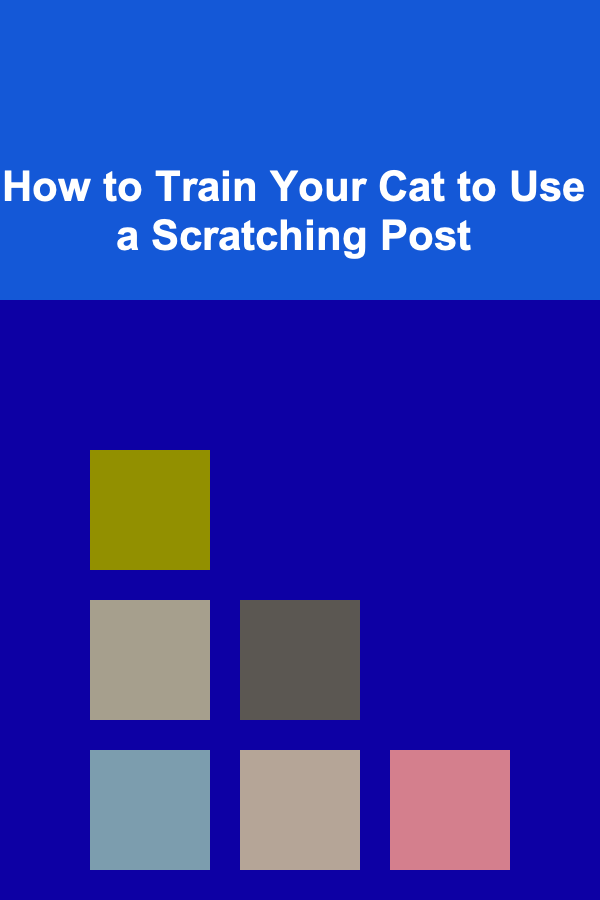 How to Train Your Cat to Use a Scratching Post