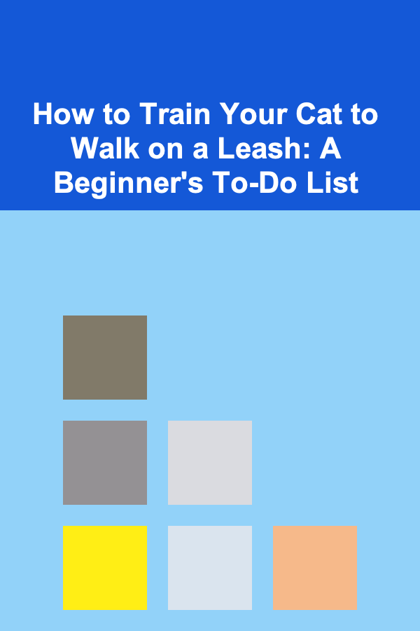 How to Train Your Cat to Walk on a Leash: A Beginner's To-Do List
