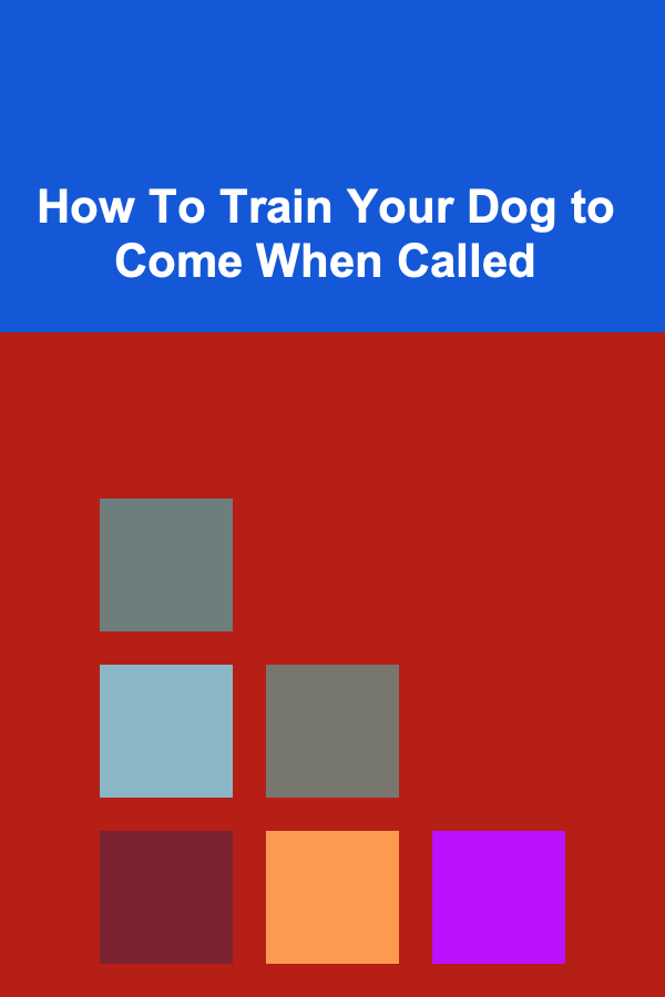 How To Train Your Dog to Come When Called
