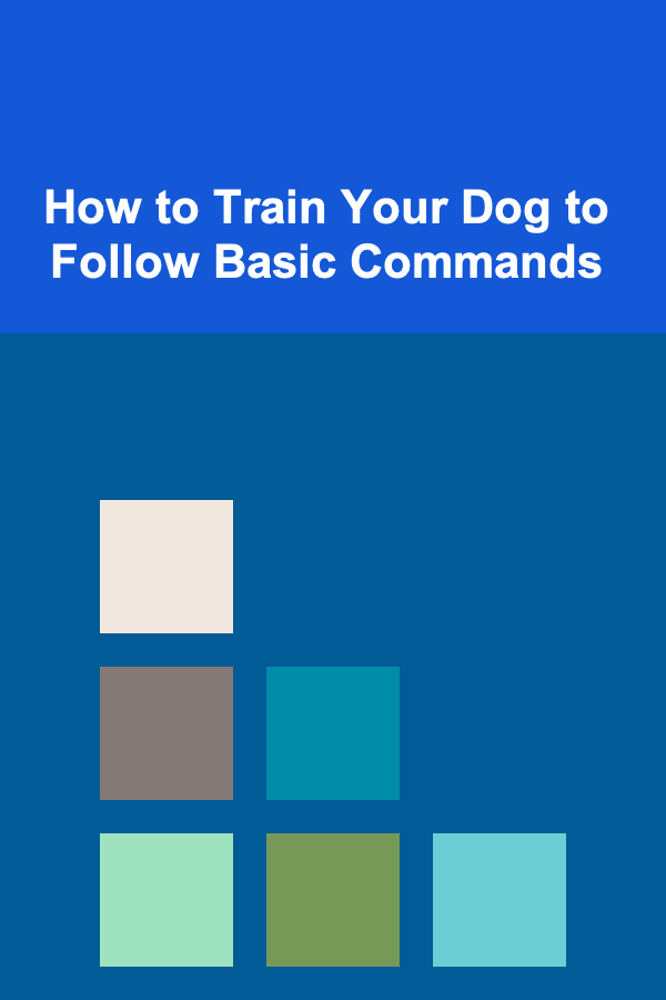 How to Train Your Dog to Follow Basic Commands
