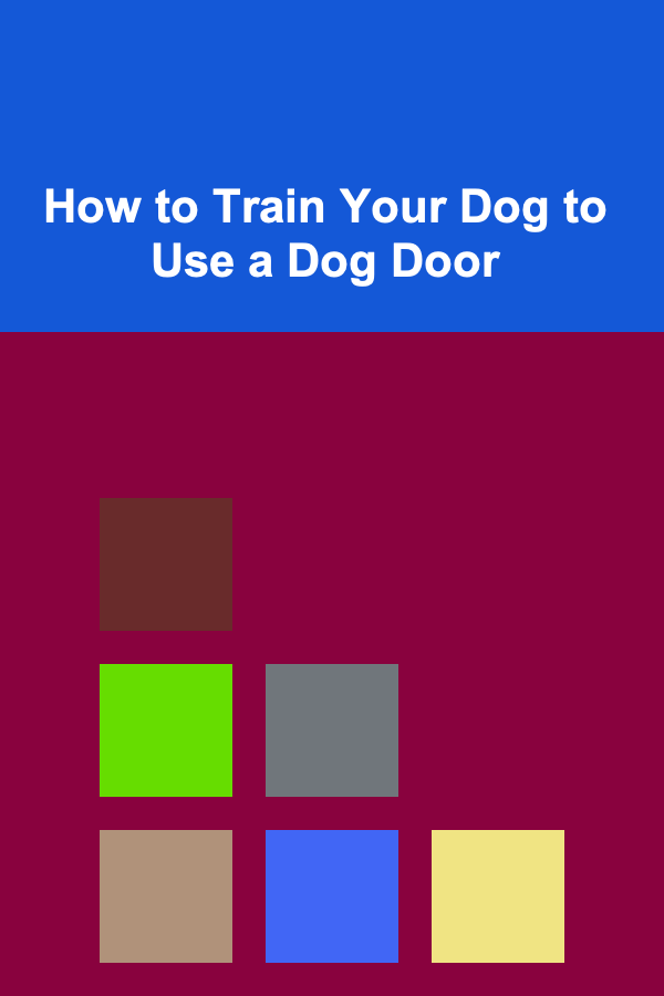 How to Train Your Dog to Use a Dog Door