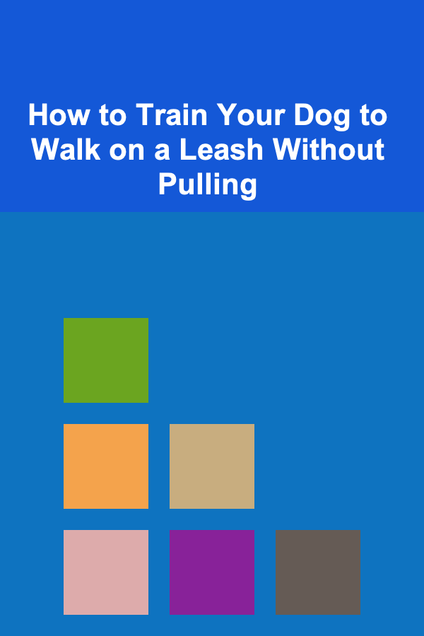 How to Train Your Dog to Walk on a Leash Without Pulling
