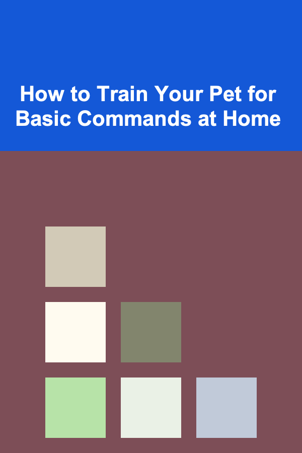 How to Train Your Pet for Basic Commands at Home