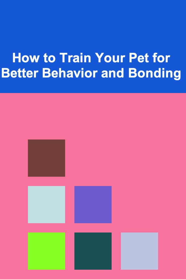 How to Train Your Pet for Better Behavior and Bonding