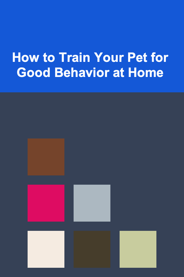 How to Train Your Pet for Good Behavior at Home